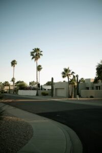 Neighborhood street with palm trees at golden hour