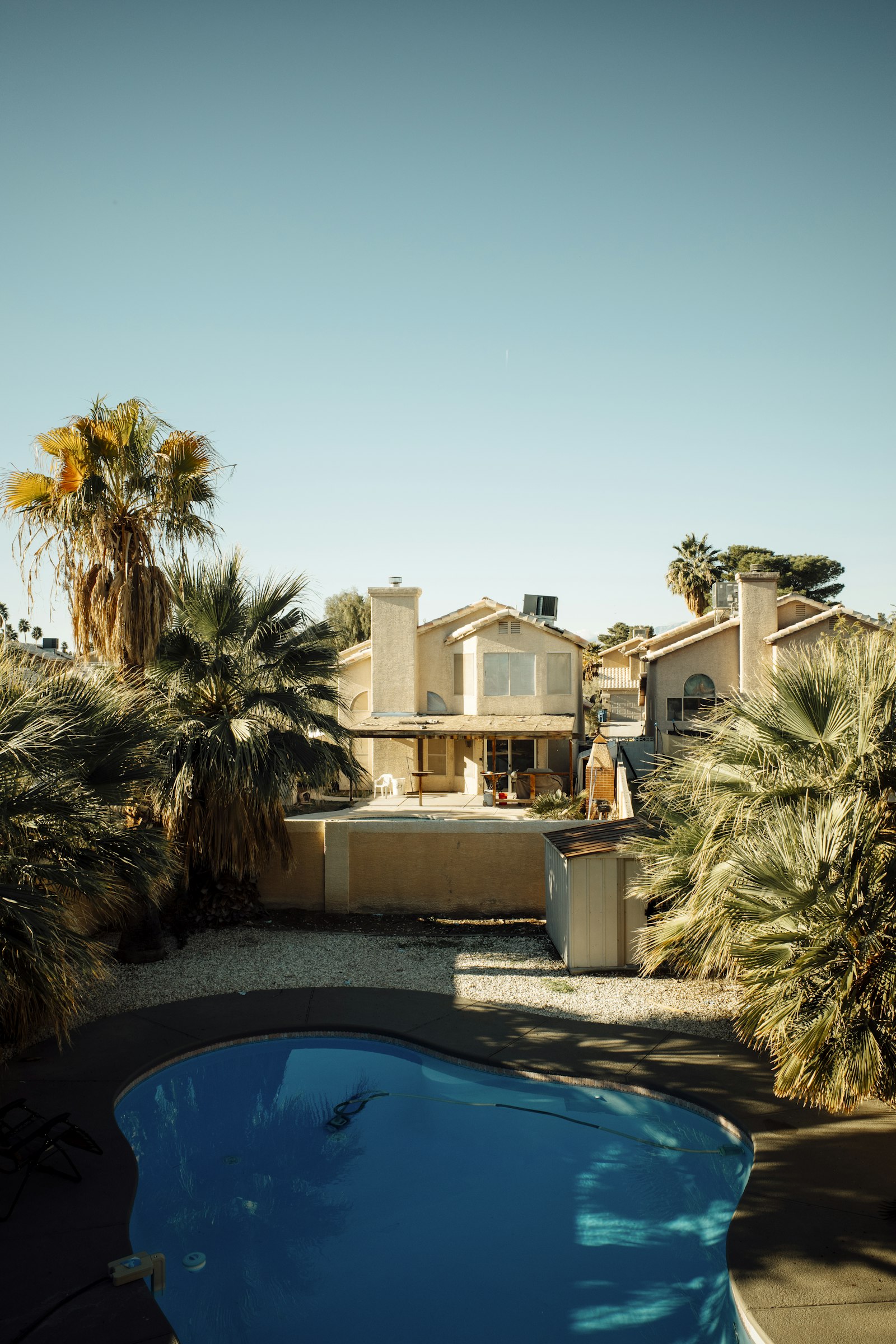 Homes with palm trees near a community pool