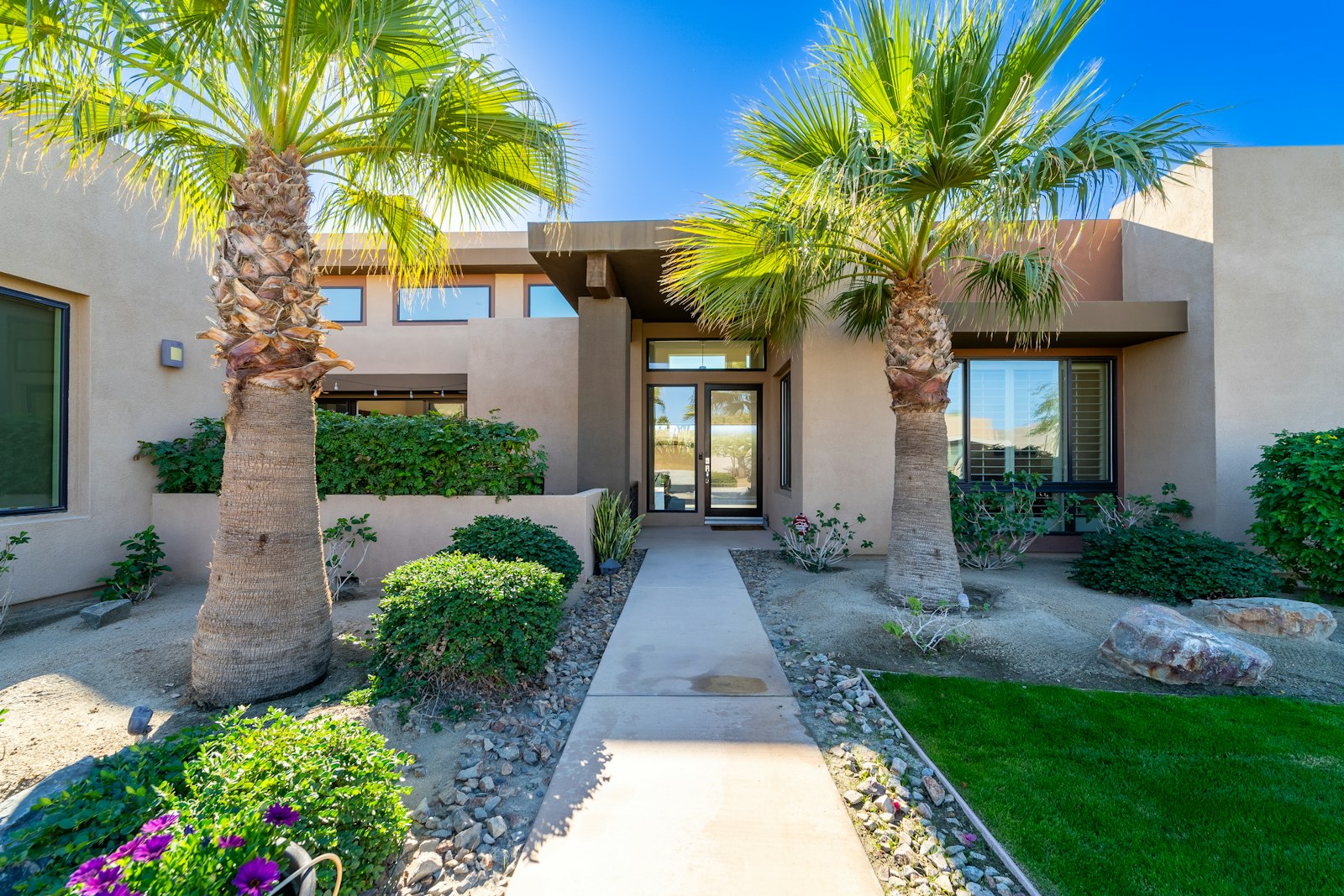 Desert modern home with palm trees