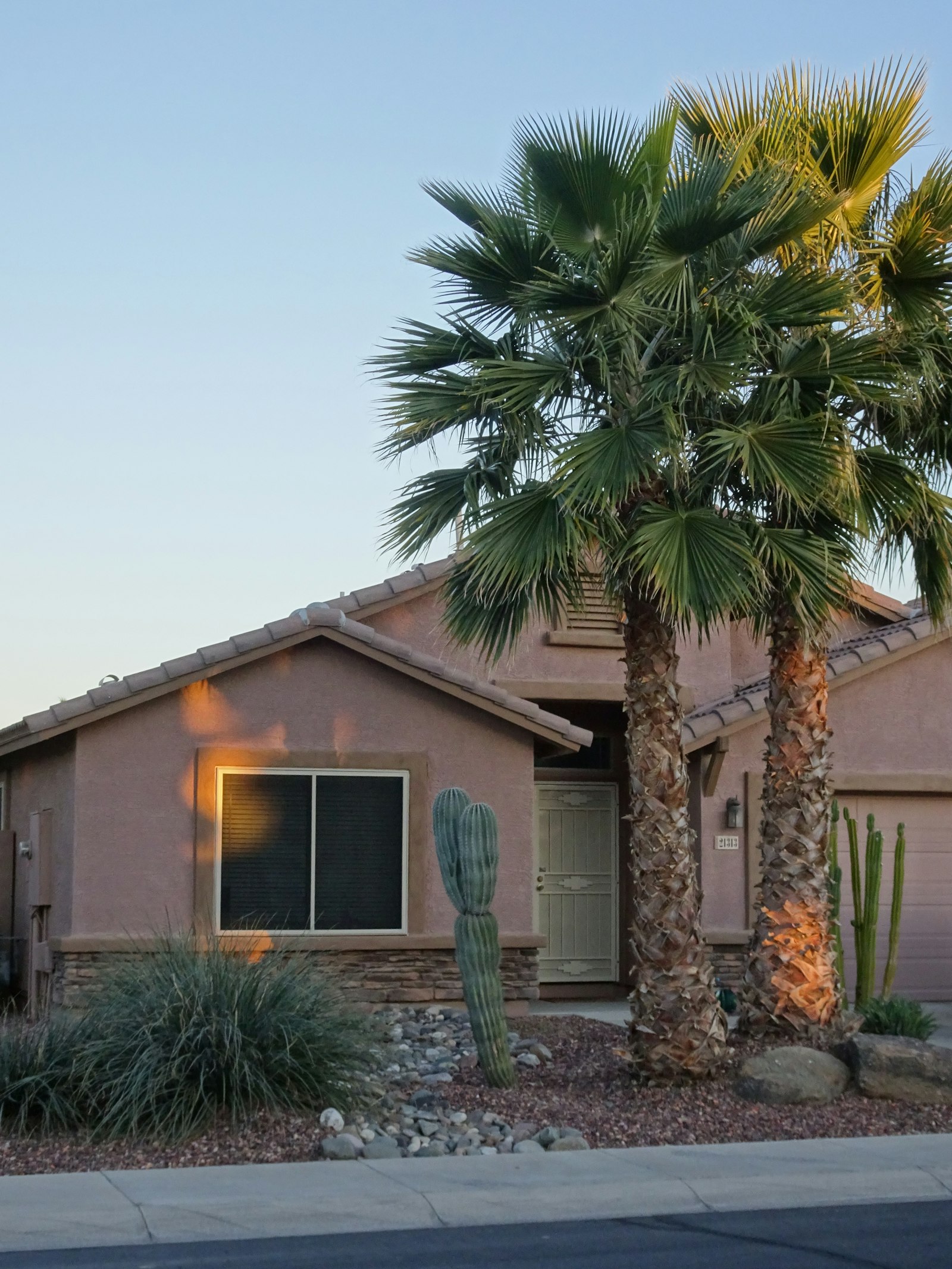 Desert home with a palm tree