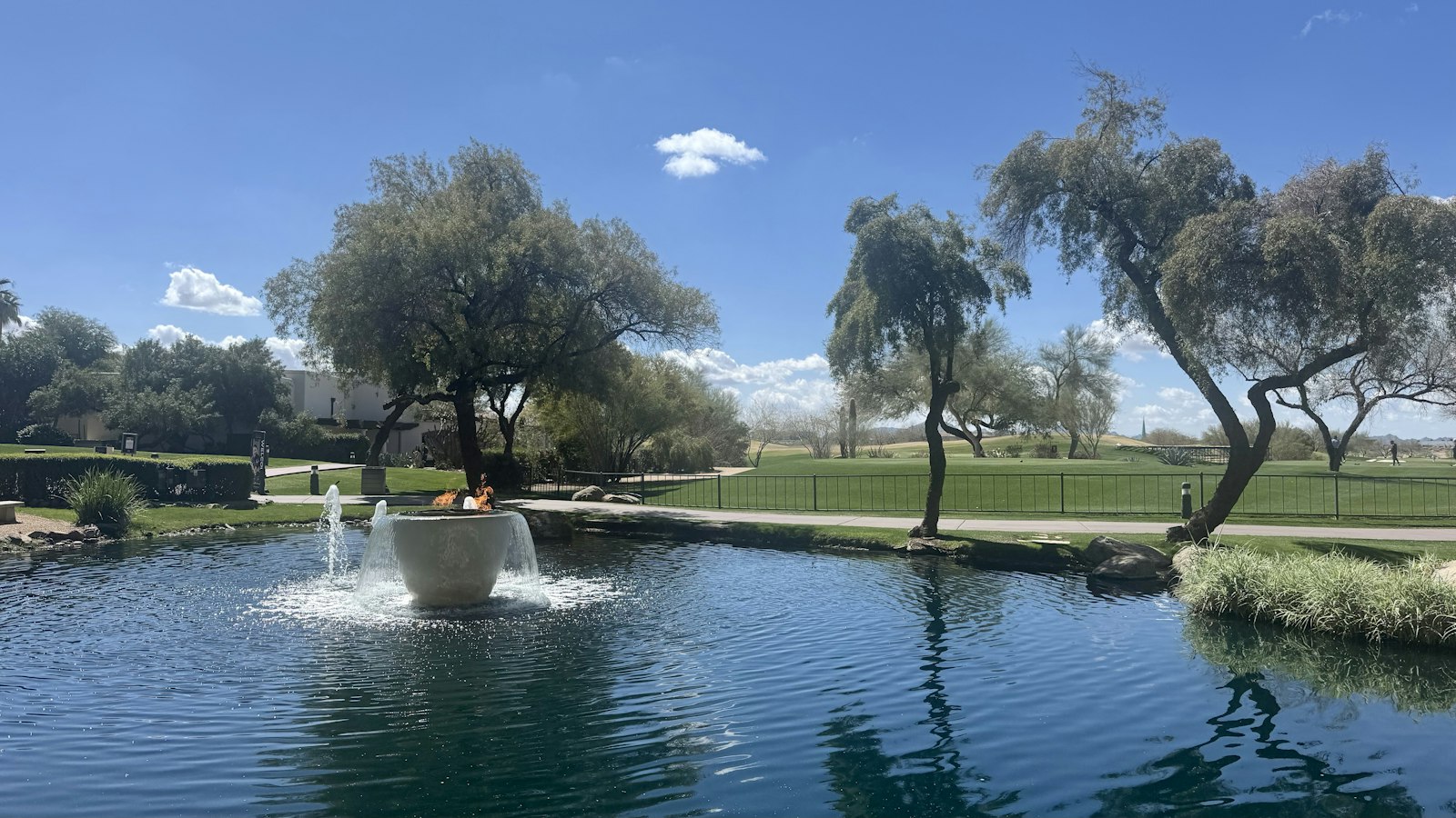 Peaceful pond with trees