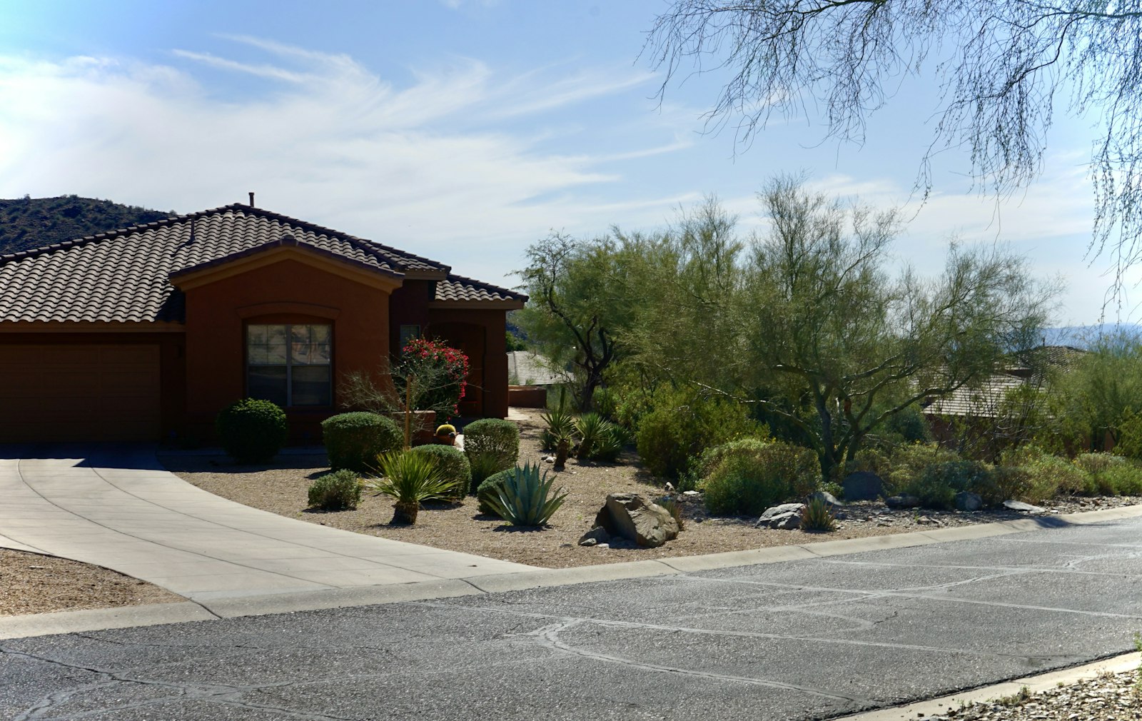 Arizona home with desert landscaping and driveway