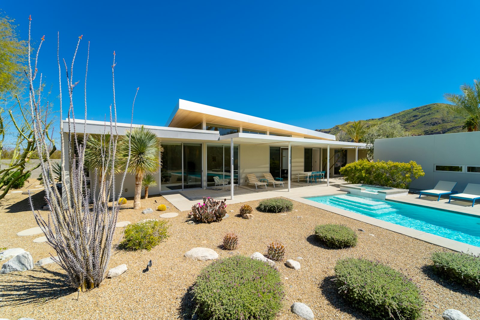 Mid-century modern home with pool and desert plants