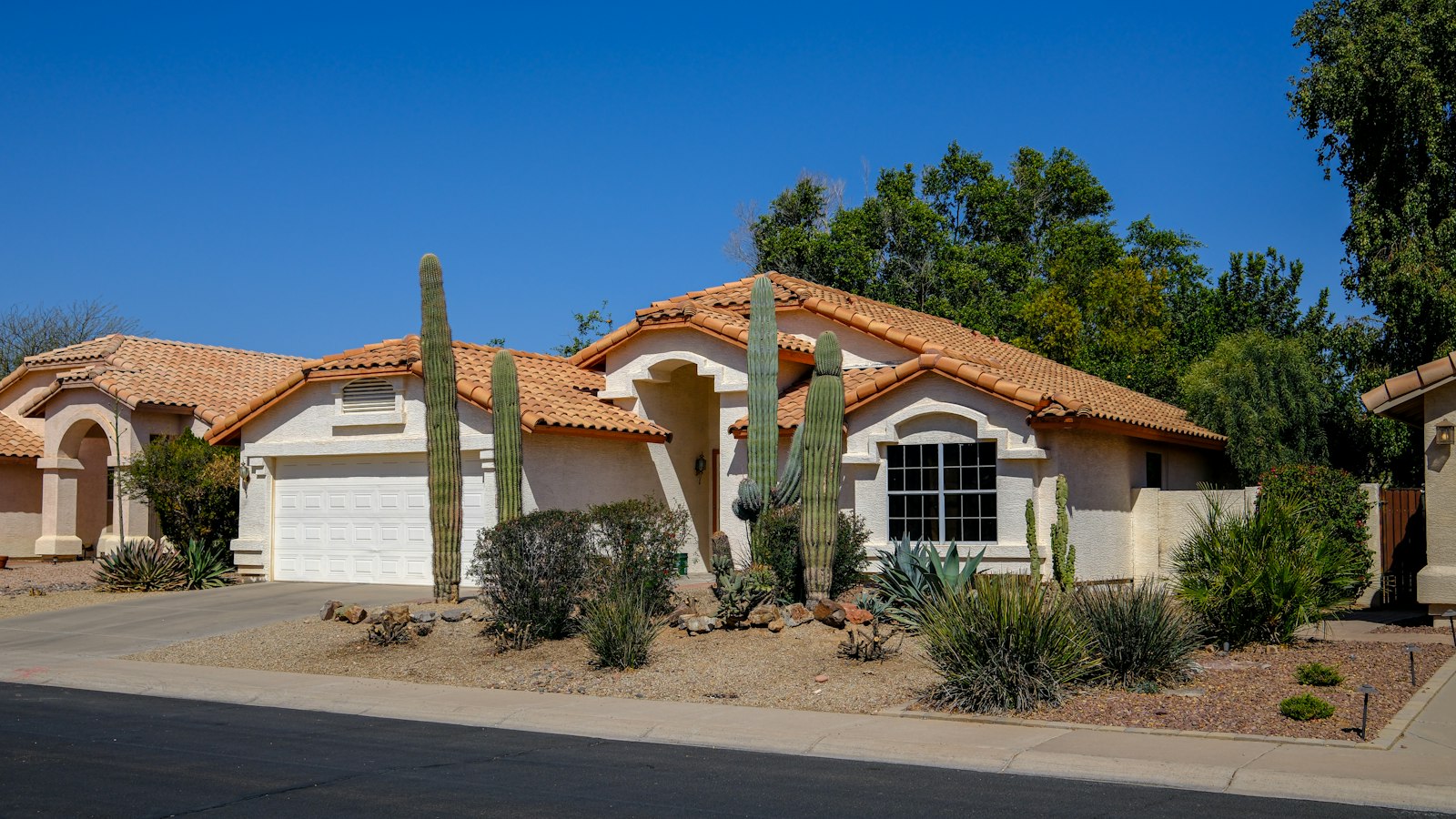 Home in the desert with cacti